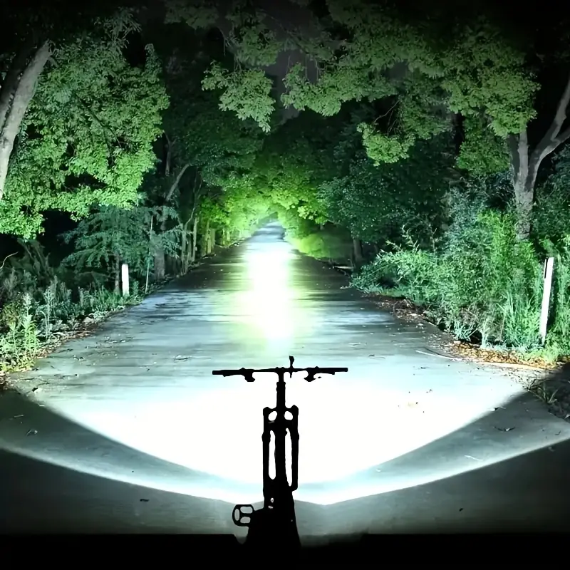 bike lighting forest